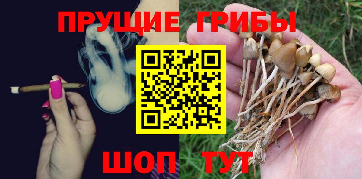 Галлюциногенные грибы мухоморы  Вход с VPN  Шебекино 